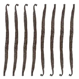 laska-wanilii-13-16-cm-wanilia-laski-madagaskar-jakosc-1-kol-pol-8-sztuk