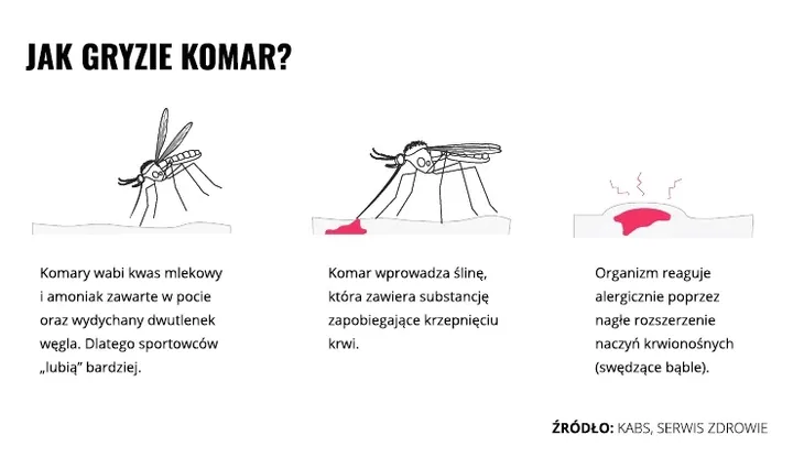 repelent-spray-mugga-95percent-deet-75-ml-producent-mugga-stan-nowy