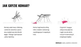 repelent-spray-mugga-95percent-deet-75-ml-producent-mugga-stan-nowy