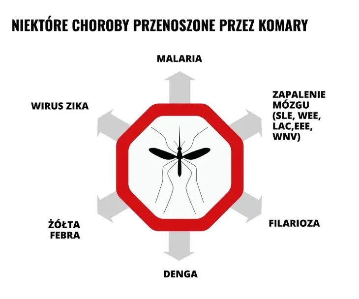 repelent-spray-mugga-95percent-deet-75-ml-stan-nowy-producent-mugga