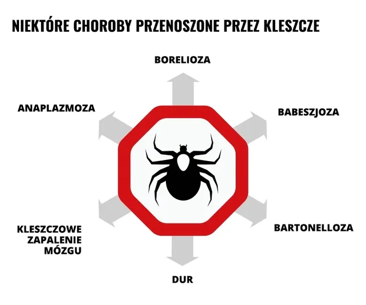 repelent-spray-mugga-95percent-deet-75-ml-producent-mugga-stan-nowy