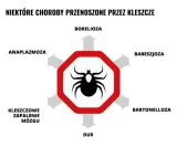 repelent-spray-mugga-95percent-deet-75-ml-producent-mugga-stan-nowy