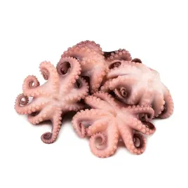 osmiorniczki-baby-40-60-mrozone-cale-1kg