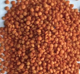 soczewica-czerwona-5kg-soczewica-cale-ziarna-5-kg-top-food-hurt