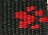a-152-obroza-dla-psa-lapki-20mm