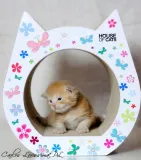 drapak-dla-kota-small-cat-flowers