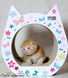 drapak-dla-kota-small-cat-flowers