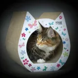 drapak-dla-kota-small-cat-flowers-stan-nowy