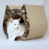 drapak-dla-kota-cat-triangle-rodzaj-drapak-niski