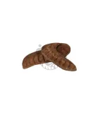 elephant-ear-12-18-cm