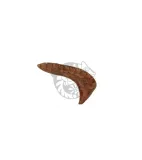 elephant-ear-12-18-cm-stan-nowy
