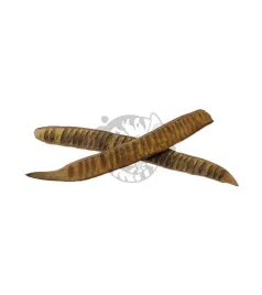 fasola-egzotyczna-30-45-cm