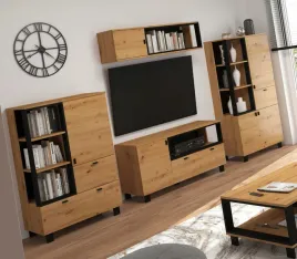 meble-gaves-1-pokojowe-mebloscianka-regal-szafka-rtv-polka-wiszaca-artisan