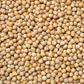 45kg-ciecierzyca-cieciorka-wedkarska-ziarno-zaneta-karp-leszcz