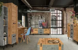 meble-lofter-7-mlodziezowe-szafa-komoda-regal-biurko-szafka-rtv-lawa-loft