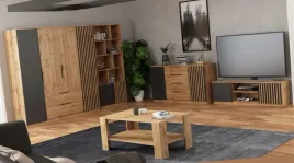 meble-rise-1-pokojowe-szafa-regal-komoda-szafka-rtv-stolik-kawowy-wotan