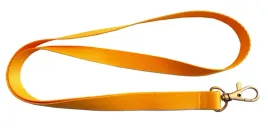 smycz-z-karabinczykiem-zolta