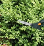 fiskars-nozyce-do-trawy-1000557-s50