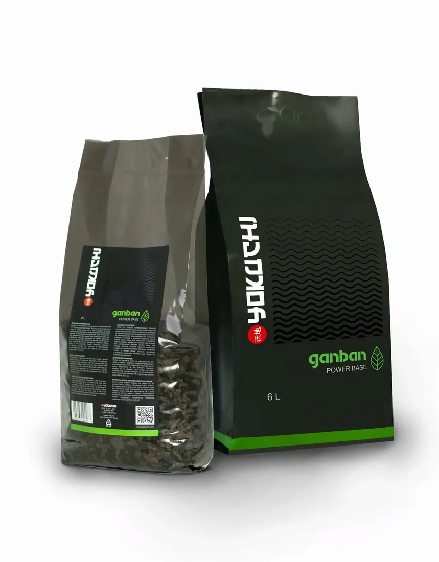 yokuchi-ganban-power-base-6l