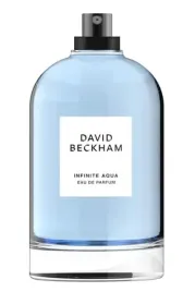 david-beckham-the-collection-infinite-aqua-100-ml-edp-flakon