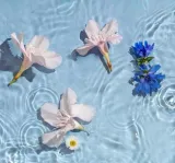 pierpaoli-krem-do-rak-z-nawilzajaca-gliceryna-i-eko-hydrolatem-z-rumianku-opakowanie-tubka