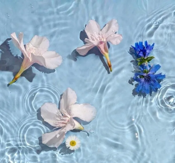 pierpaoli-krem-do-rak-z-nawilzajaca-gliceryna-i-eko-hydrolatem-z-rumianku