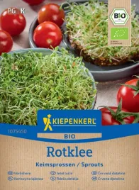 koniczyna-lakowa-rotklee-618329
