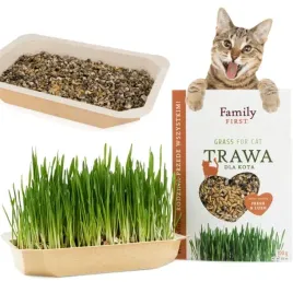 trawa-trawka-dla-kota-przysmak-odklaczajacy-family-first-tylko-podlac-100g