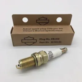 oryginalne-swiece-zaplonowe-harley-99-17-twincam-86-22-xl-sportster-2szt