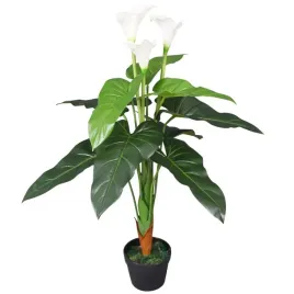 sztuczna-kalia-z-prawdziwym-pniem-wysokosc-85-cm-biala-9-lisci
