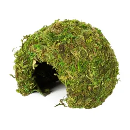 kryjowka-z-naturalnym-mchem-mossy-dome-s-repti-zoo