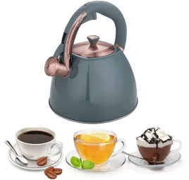 czajnik-nowoczesny-stalowy-z-gwizdkiem-gaz-indukcja-3l-edenberg-8863-niebie