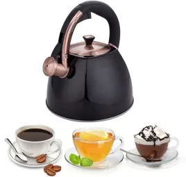 czajnik-nowoczesny-stalowy-z-gwizdkiem-gaz-indukcja-3l-edenberg-8863-czarny