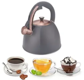 czajnik-nowoczesny-stalowy-z-gwizdkiem-gaz-indukcja-3l-edenberg-8863-szary
