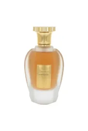 paris-corner-emir-voux-elegante-edp-100ml