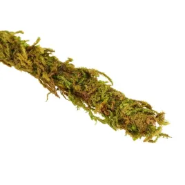 liana-z-naturalnym-mchem-15cm-x-2m-repti-zoo