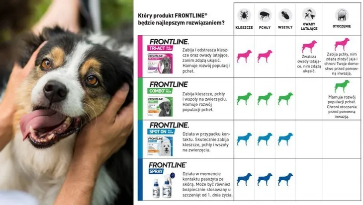 frontline-spray-przeciw-pasozytom-100ml-stan-nowy