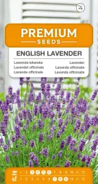 nasiona-lawenda-lekarska-przyprawa-roslina-ozdobna-premium-seeds-02-g