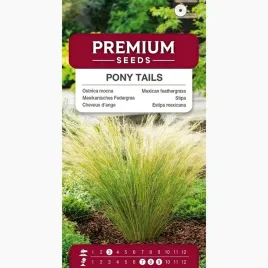 nasiona-ostnica-mocna-trawa-ozdobna-pony-tails-kepkowa-premium-seeds-01g