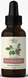 alchornea-cordifolia-wyciag-ziolowy-50ml-nanga