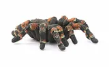 schleich-14829-tarantula-waga-z-opakowaniem-0-1-kg-marka-schleich