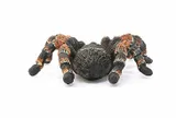 schleich-14829-tarantula-marka-schleich