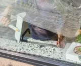 myjka-do-okien-cleantech-joseph-joseph-stan-nowy-kod-produktu-6500014