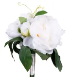 peonia-bukiet-kremowo-biala