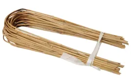 bambus-giety-45-cm-8-10-mm-100-szt