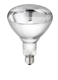 zarowka-promiennika-philips-250w-biala