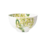 miseczka-amazonia-villeroy-and-boch