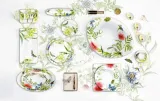 miseczka-amazonia-villeroy-and-boch-kolor-bialy