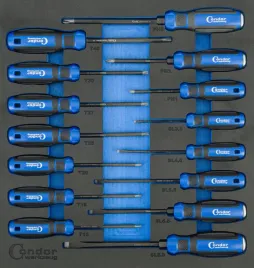 wklad-wozka-wkretaki-plaskie-torx-krzyzak-15-el-condor-tools