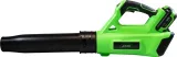 dmuchawa-do-lisci-aku-20v-jbm-kod-producenta-d-60030-stan-nowy
